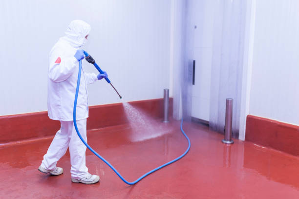 Best Building Exterior Washing  in Belle Plaine, IA